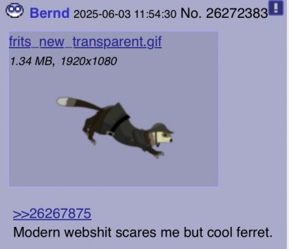 IMG_6180.jpeg