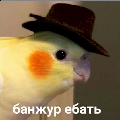 банжур.jpg
