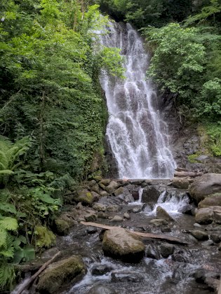 IMG_20220624_171726_705.jpg