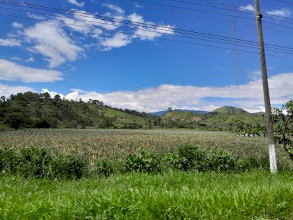 20231028_115756.jpg