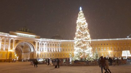 tree2.jpg