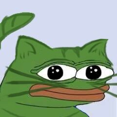 catfrog staring.png