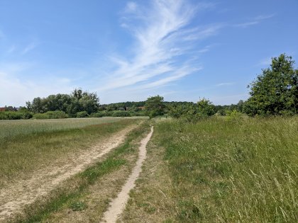 PXL_20220605_113940857.MP.jpg