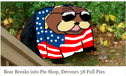 American_bear_pies.png