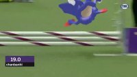 16754013351500.webm