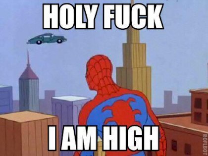 holyfuckimahigh.jpg