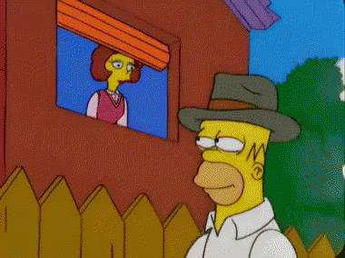 the-simpsons-homer-simpson.gif