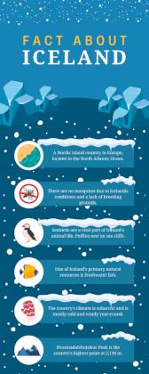 Fact-About-Iceland-Infographic-410x1024.png