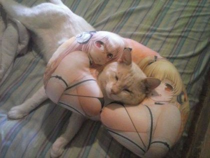 kot in 2D heaven.jpg