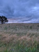 IMG_20200710_205838.jpg