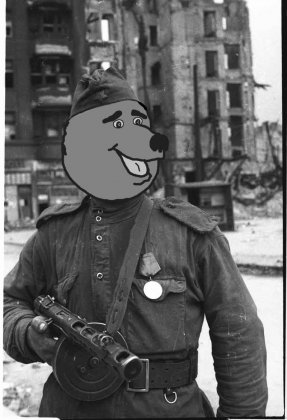 russian-liberator-in-1945.jpg