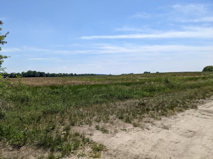 PXL_20220605_112609267.MP.jpg