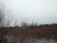 IMG_20191121_135025.jpg