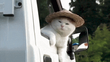 1651947469300.gif