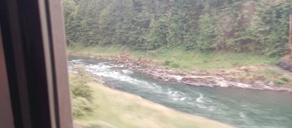 IMG_20230617_180156_289.jpg