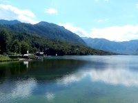 IMG_20200707_153406_7.jpg