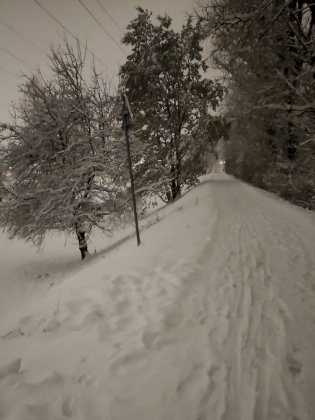 IMG_20231202_180245.jpg