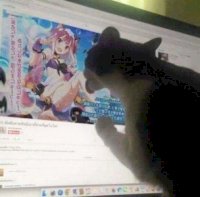 catlick.jpg