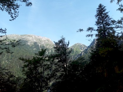 IMG_20220618_093434_7.jpg