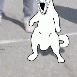 1681908127284.gif