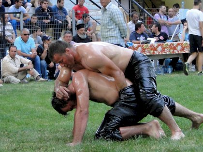 wrestling.jpg