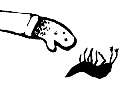 bf-8-small.png