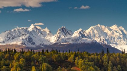 38a645c1-reg-119-164d6ddfa1e.jpg