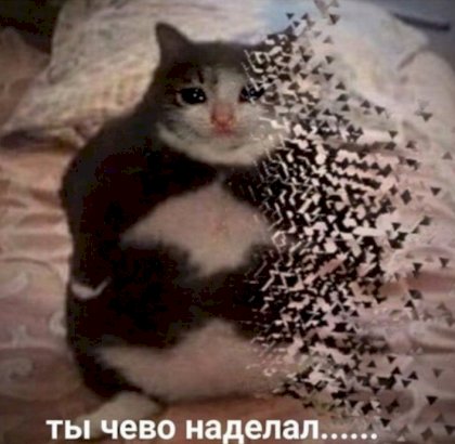 16931649607831.jpg