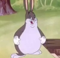 chungus.jpg