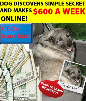 edgar_the_succesful_dog.jpg