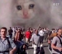 911 kot.jpg