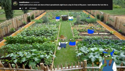 afbf5957465e4a39[1].jpg