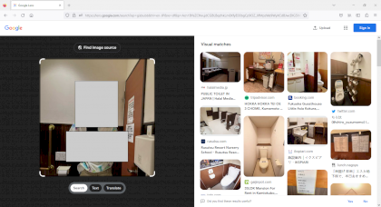 An Anonymous Vegan On Google Lens.PNG