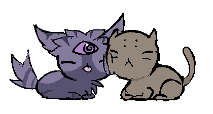 IMG_0902.png