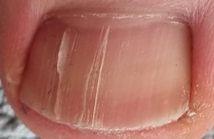 2.cleaned.jpeg