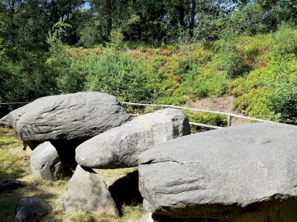 20220717_124523.jpg