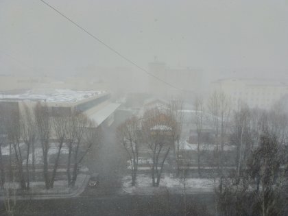 IMG_20230416_164700_884.jpg