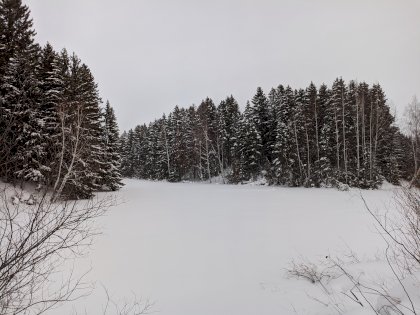 PXL_20220212_131419751.jpg