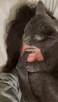 a87oen3_460svvp9.webm