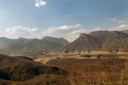 IMG_2837.jpeg