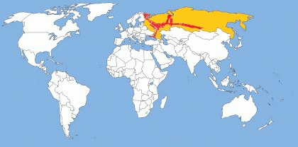 7abf3361-14c0-46c5-adb4-15c2d5a812e1.gif
