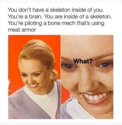 1664800308845242.jpg