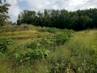 20190924_160334.jpg