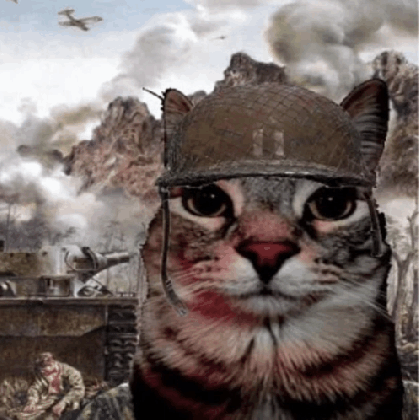War-Cat-meme-88f6yf.jpg