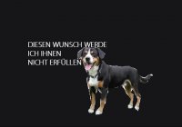 fdm_hundescheisse.mp4