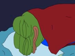 apu sleep.jpg