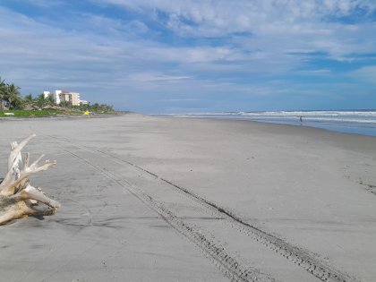 20231021_154955.jpg