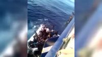 under_the_sea.mp4