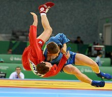 220px-Sambo_at_the_2015_European_Games.jpg