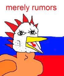 c66.jpg